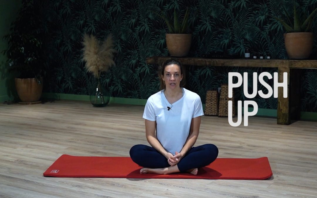 Programme – Explication Mouvements – Push up