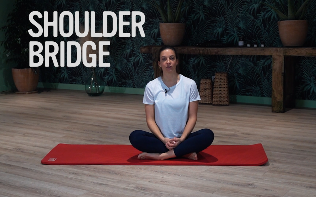 Programme – Explication Mouvements – Shoulder bridge