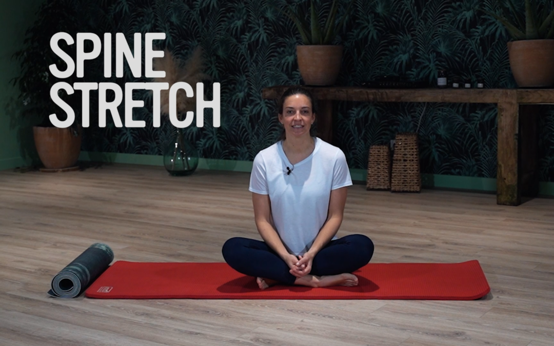 Programme – Explication Mouvements – Spine stretch