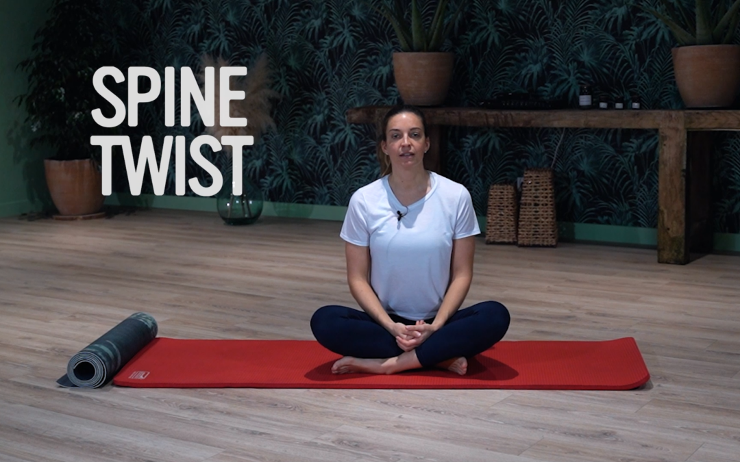 Programme – Explication Mouvements – spine twist